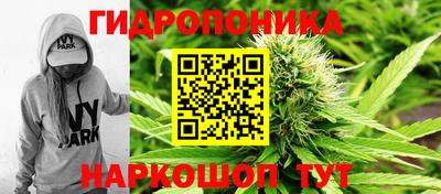 молекула духа Обнинск