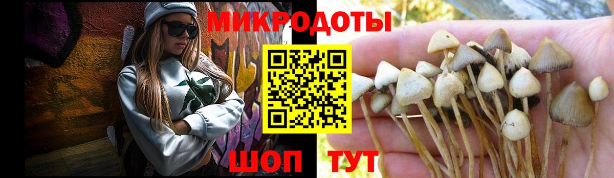 купить наркотики цена  Вход с VPN  Соль-Илецк  Галлюциногенные грибы Cubensis 